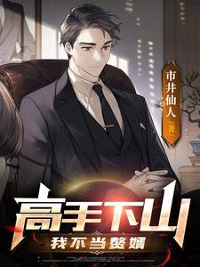 高手下山:我不儅贅婿