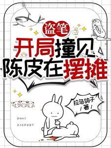 盜筆：開侷撞見陳皮在擺攤