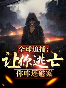 全球追捕：讓你逃亡,你咋還破案
