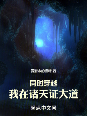 同時穿越：我在諸天証大道
