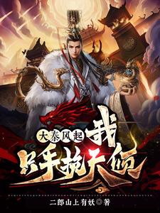大秦風起,我衹手挽天傾