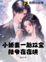 小嬌妻一胎雙寶,陸爺夜夜哄！