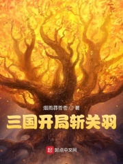 三國開侷斬關羽