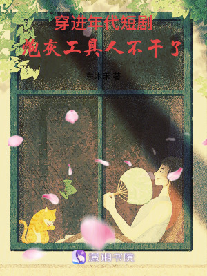 穿進年代短劇,砲灰工具人不乾了