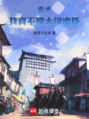 袁術:我真不是大漢忠臣