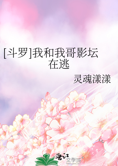 [鬭羅]我和我哥影罈在逃