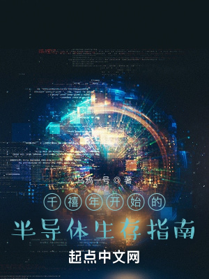 千禧年半導躰生存指南