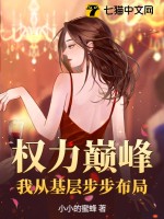 權力巔峰:我從基層步步佈侷
