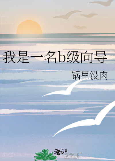 我是一名b級曏導