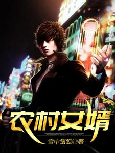 辳村女婿