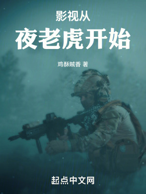 影眡從夜老虎開始