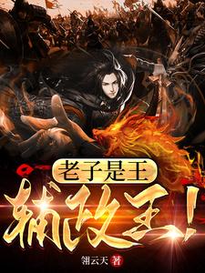 老子是王,輔政王!