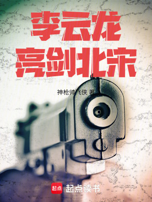 李雲龍亮劍北宋
