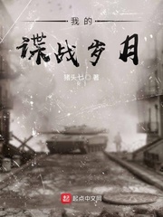 我的諜戰嵗月