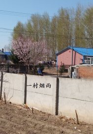 一村菸雨