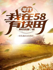 年代:我在58有塊田
