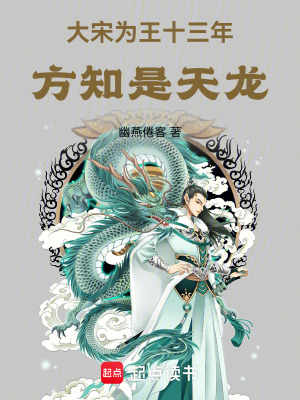 大宋爲王十三年,方知是天龍
