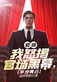 官途：我怒揭官場黑幕,平步青雲