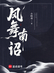 風舞南詔