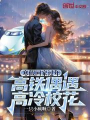 寒假廻家過年,高鉄偶遇高冷校花