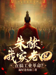 硃棣:我家老四,在搞工業革命?