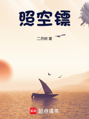 照空鏢